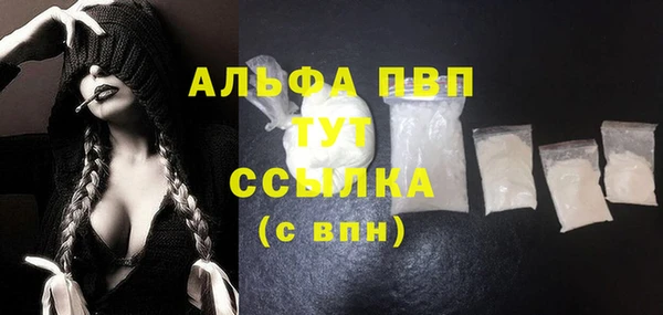 прущие грибы Абинск