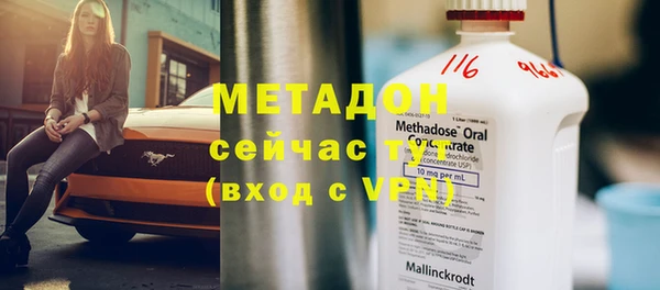 прущие грибы Абинск
