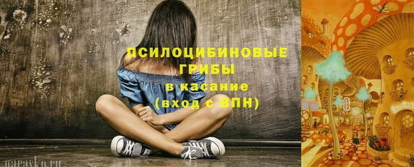 гидра Алексеевка