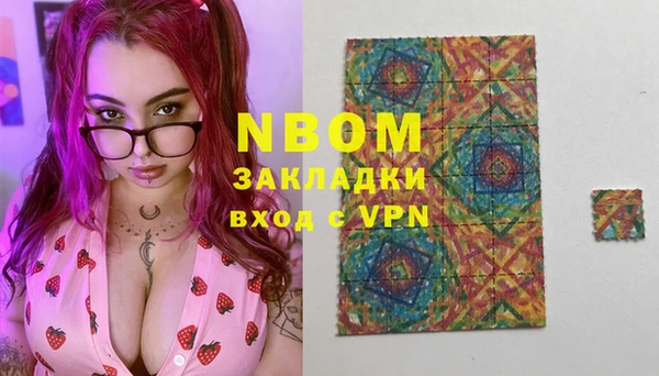 прущие грибы Абинск