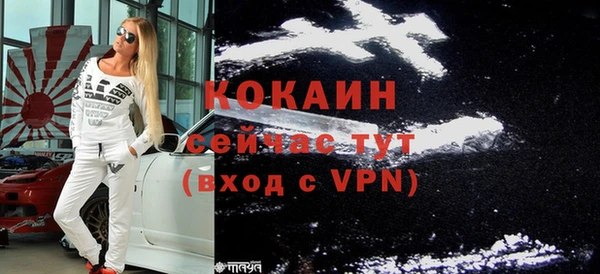 прущие грибы Абинск