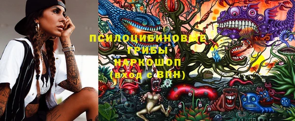 прущие грибы Абинск
