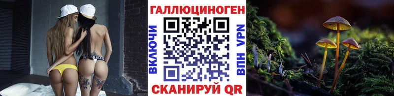цены наркотик Нерчинск Галлюциногенные грибы Cubensis