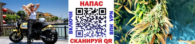 Каннабис Amnesia  Нерчинск 